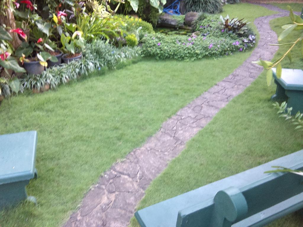 Glory Homestay Kandy Ngoại thất bức ảnh