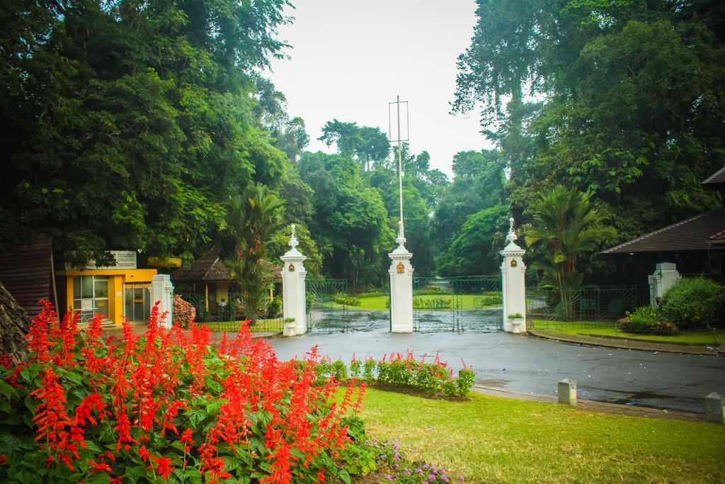 Glory Homestay Kandy Ngoại thất bức ảnh